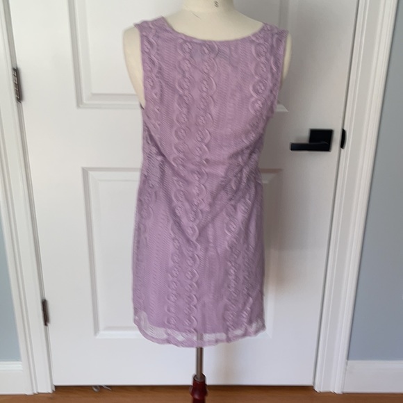 Francesca’s Blue Rain Lilac Lace Shift Dress - Picture 3 of 7